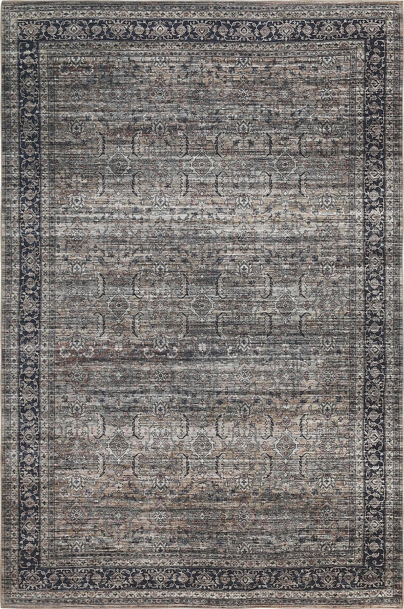 Emir Persian Transitional Brown Rug - 4' x 6'